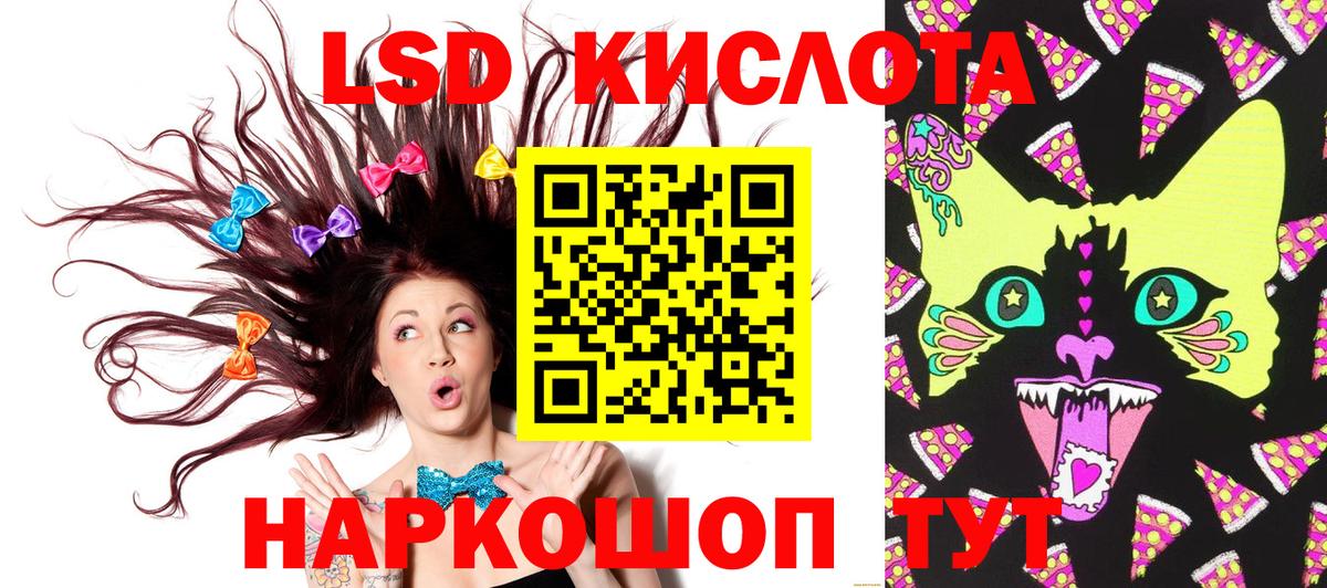 Наркотические марки 1500мкг Лесной