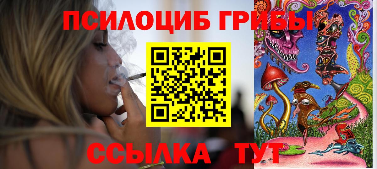Псилоцибиновые грибы прущие грибы Лесной